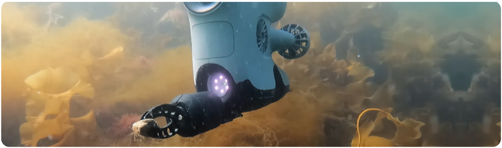 Exploring the Depths with Blueye Underwater Drones